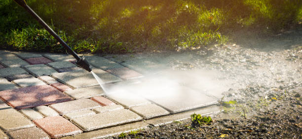 Best Driveway Pressure Washing  in Visalia, CA